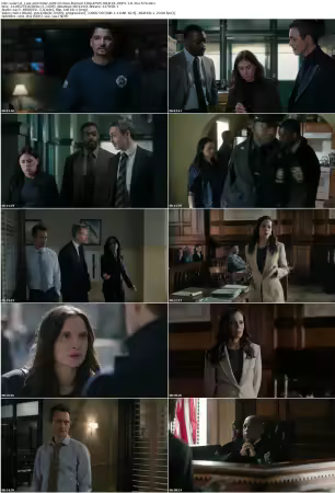 Law and Order S25E20 Once Burned 720p AMZN WEB-DL DDP5 1 H 264-NTb