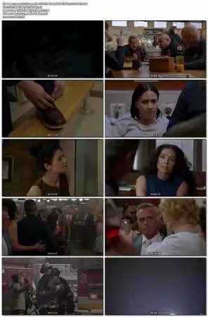 Chicago Fire S14E21 1080p WEB HEVC x265-RMT
