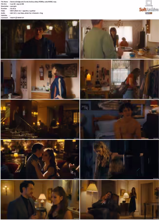 Bridge and Tunnel S01 S02 1080p WEBRip x265-RARBG