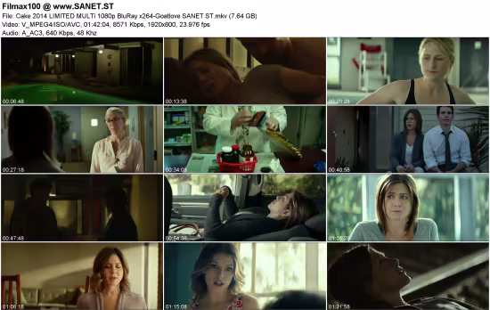 Cake 2014 LIMITED MULTi 1080p BluRay x264-Goatlove