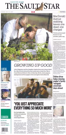 The Sault Star - 19 May 2026