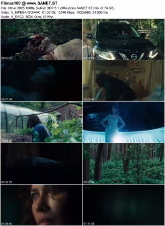 Other 2025 1080p BluRay DDP 5.1 x264-j3rico