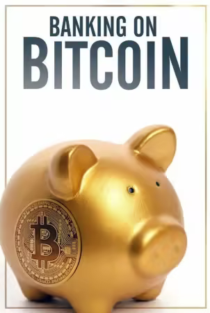 Banking on Bitcoin 2016 DOCU 1080p WEB-DL DD5 1 H264-FGT