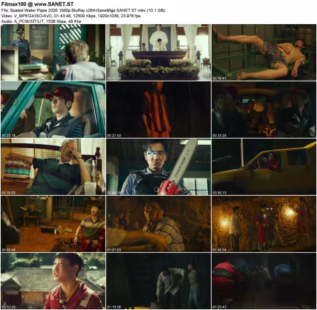 Busted Water Pipes 2026 1080p BluRay x264-GeneMige