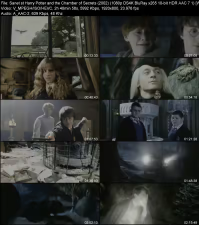 Harry Potter and the Chamber of Secrets 2002 1080p DS4K BluRay x265 10-bit HDR AAC 7.1 WeSLeY