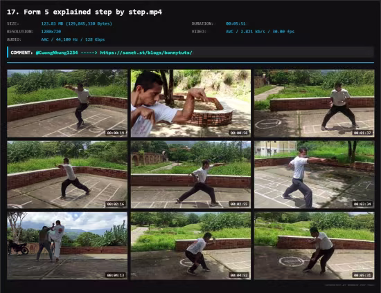 Traditional Kung Fu Tang Lang Chuen First 5 Forms