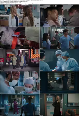 Greys Anatomy S22E18 Bridge Over Troubled Water 1080p AMZN WEB-DL DDP5 1 H 264-NTb