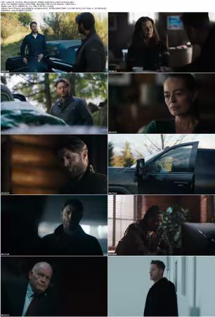 Tracker 2024 S03E21 1080p WEB HEVC x265-RMT