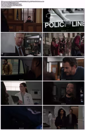 Law And Order SVU S27E21 1080p HEVC X265-MeGusta