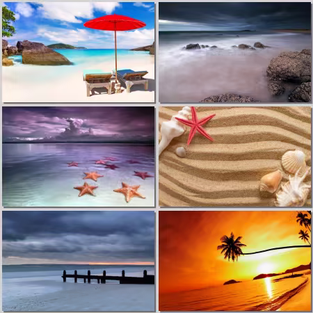 Sea Part 204