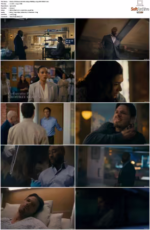 Watson S02 1080p WEBRip x265-KONTRAST