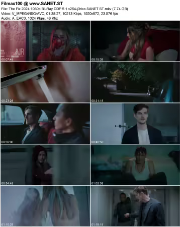 The Fix 2024 1080p BluRay DDP 5.1 x264-j3rico