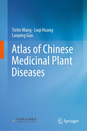 Movie cover image