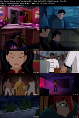 Batman Soul of the Dragon 2021 1080p BluRay DTS x264-MTeam