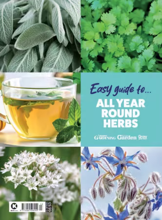 Amateur Gardening Easy Guide To, Issue 13, All Year Herbs, 2026 (True PDF)