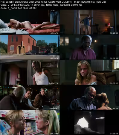 Black Snake Moan 2006 1080p AMZN WEB-DL DDP 5.1 H264-BLOOM