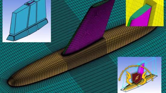 ICEMCFD Master Class (Level 2)