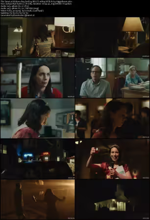 Widows Bay S01E04 MULTI 1080p WEB H264-HiggsBoson