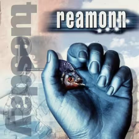 Reamonn - Tuesday (2000)[FLAC/MP3]