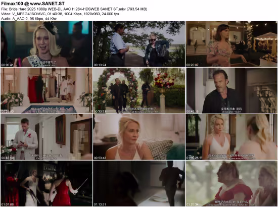 Bride Hard 2025 1080p WEB-DL AAC H 264-HDSWEB