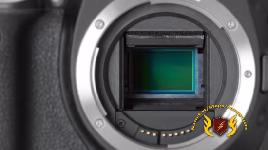Cleaning A Digital Camera Sensor Master Course