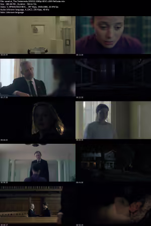 The Testaments S01E10 1080p HEVC x265-MeGusta