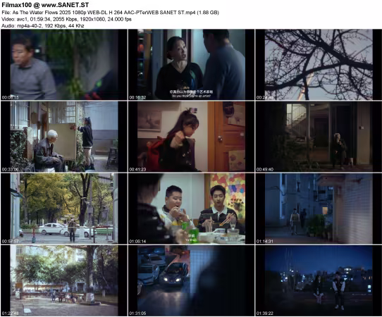 As The Water Flows 2025 1080p WEB-DL H264 AAC-PTerWEB