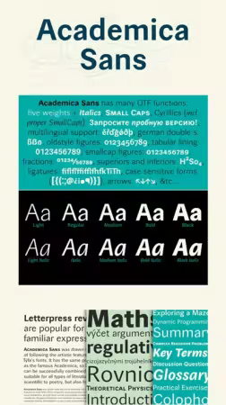 Academica Sans - 10 Styles Font Family