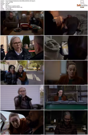 Chicago P D S13 1080p WEBRip 10Bit DDP5.1 HEVC-d3g