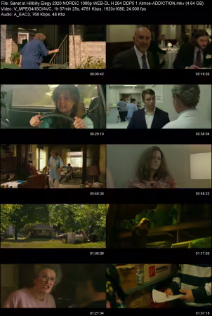 Hillbilly Elegy 2020 NORDiC 1080p WEB-DL H264 DDP 5.1 Atmos-ADDICTION