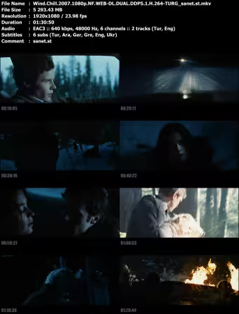 Wind Chill 2007 1080p NF WEB-DL DUAL DDP5.1 H264-TURG