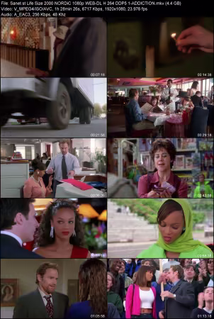 Life Size 2000 NORDiC 1080p WEB-DL H264 DDP 5.1-ADDICTION