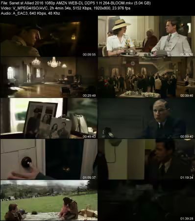 Allied 2016 1080p AMZN WEB-DL DDP 5.1 H264-BLOOM