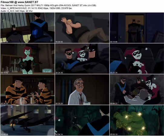 Batman And Harley Quinn 2017 MULTi 1080p HDLight x264-ACOOL