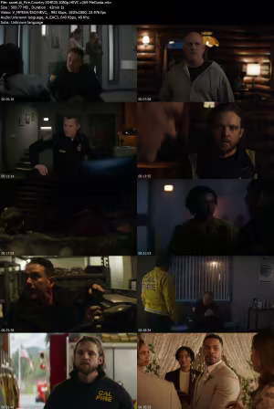 Fire Country S04E20 1080p HEVC x265-MeGusta