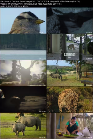 The Year Earth Changed 2021 DOC VOSTFR 1080p WEB H264-FW