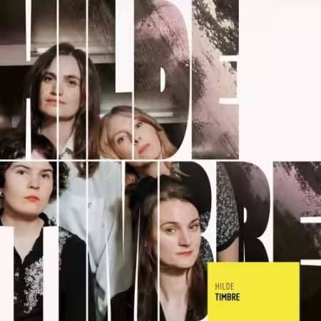 Hilde - Timbre (2026) Mp3 / Flac / Hi-Res