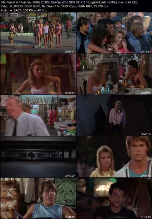 Thrashin 1986 1080p BluRay x265 SDR DDP 2.0 English-DarQ HONE