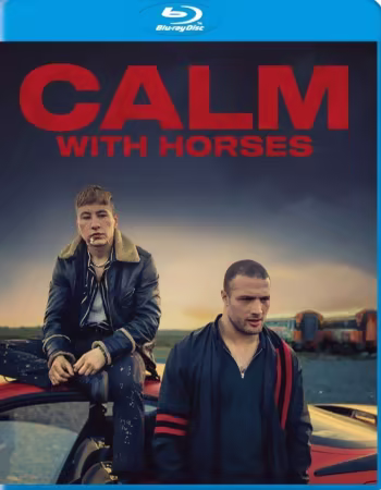 Calm With Horses 2019 MULTi 1080p BluRay DTS x264-UTT