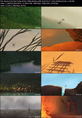 The Red Turtle 2016 1080p BluRay x265 10-bit Fre 5.1 AAC WeSLeY