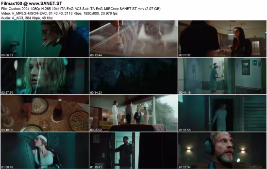 Cuckoo 2024 1080p H 265 10bit iTA EnG AC3 Sub iTA EnG-MIRCrew