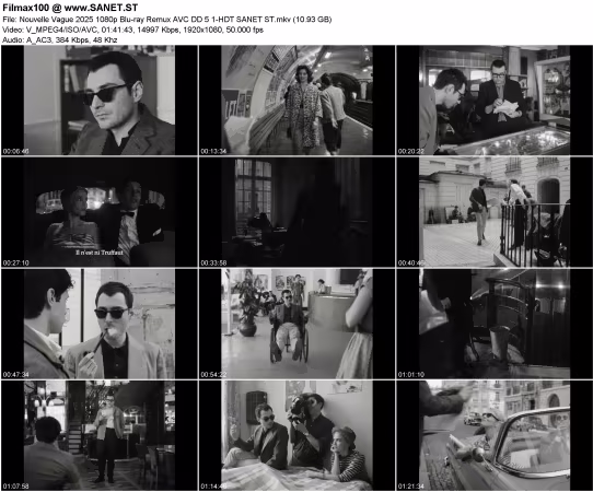 Nouvelle Vague 2025 1080p Blu-ray Remux AVC DD5.1-HDT