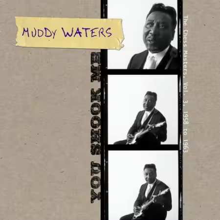 Muddy Waters - You Shook Me - The Chess Masters, Vol. 3, 1958 To 1963 (2012)[FLAC/MP3]