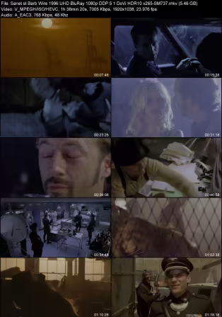 Barb Wire 1996 UHD BluRay 1080p DDP 5.1 DoVi HDR10 x265-SM737