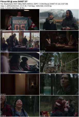 Meadowlarks 2025 1080p AMZN WEB-DL DDP5 1 H 264-Kitsune