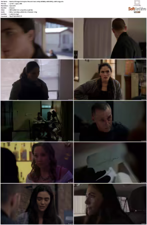 Chicago P D S13 1080p WEBRip 10Bit DDP5.1 HEVC-d3g