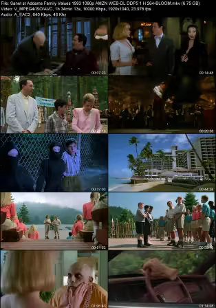 Addams Family Values 1993 1080p AMZN WEB-DL DDP 5.1 H264-BLOOM