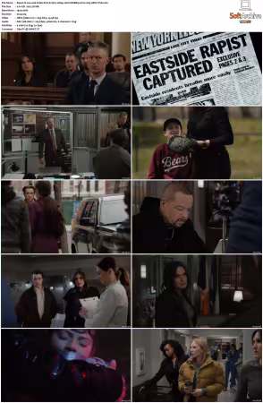 Law and Order SVU S27 1080p 10bit WEBRip 6CH x265 HEVC-PSA