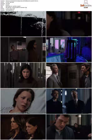 Law and Order SVU S27 1080p 10bit WEBRip 6CH x265 HEVC-PSA