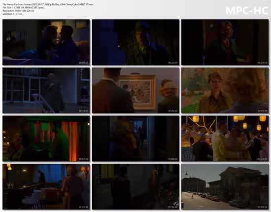 Far from Heaven 2002 MULTi 1080p BluRay x264-CherryCoke
